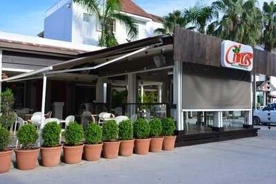 Citrus Fusion Cuisine